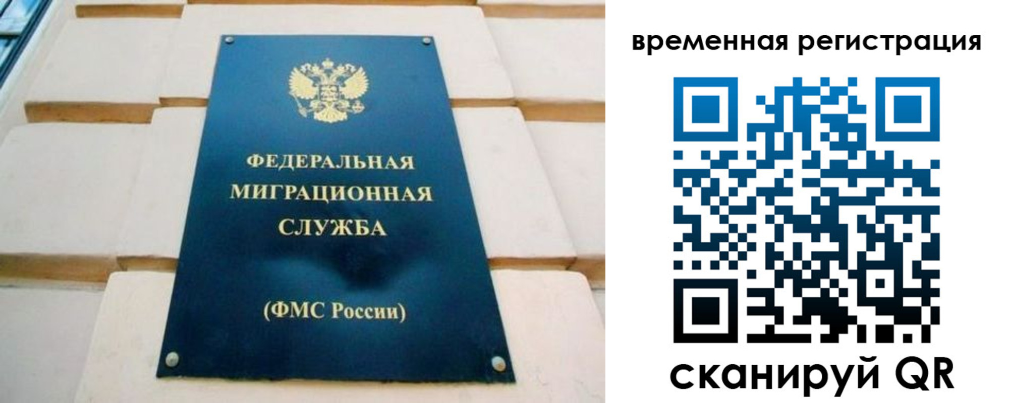 прописка гарантия в Каргате